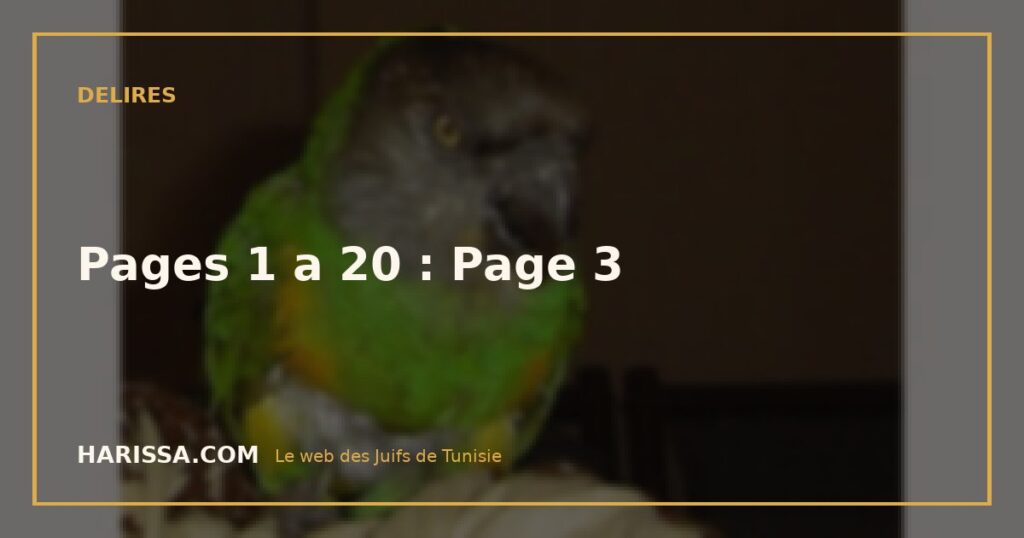 Pages 1 a 20 : Page 3