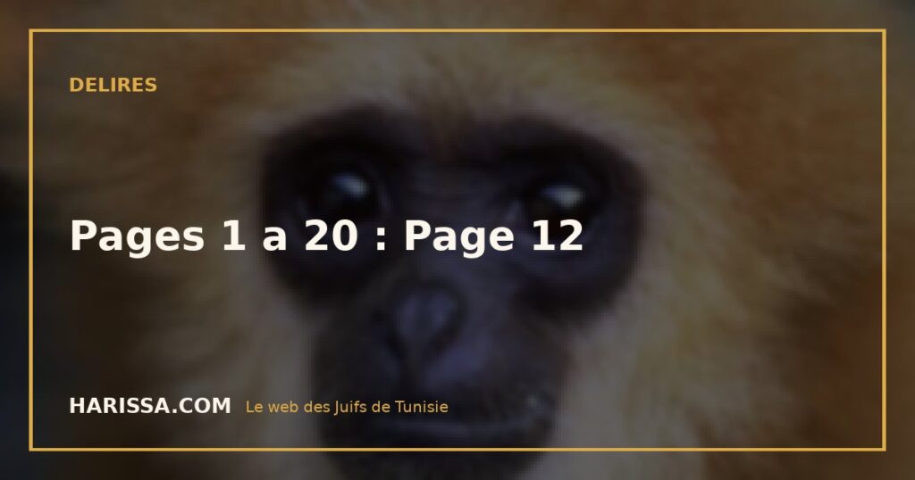Pages 1 a 20 : Page 12