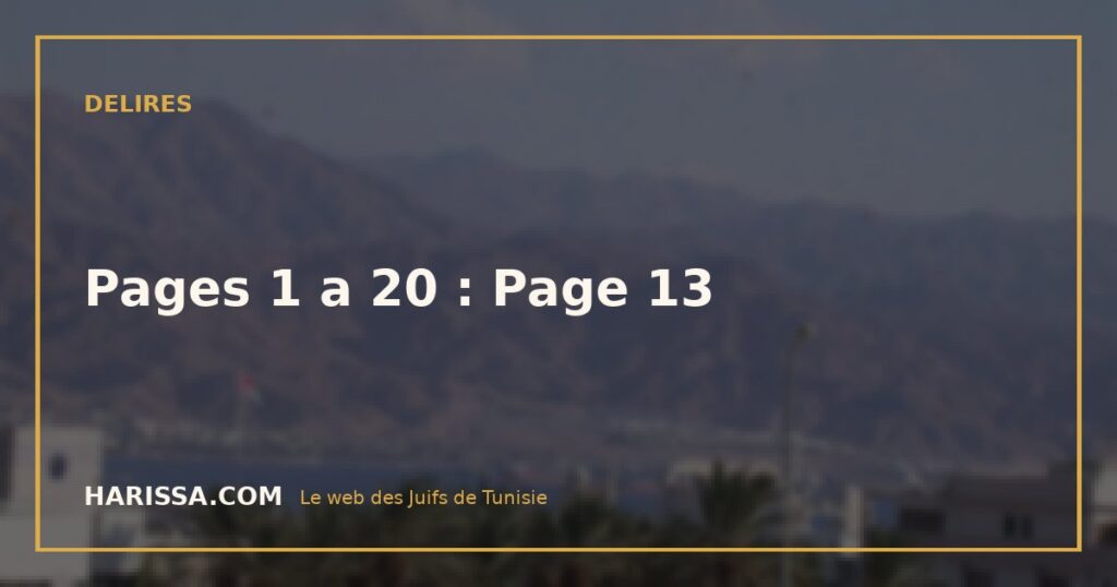 Pages 1 a 20 : Page 13