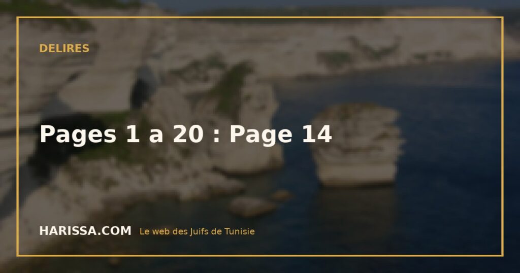 Pages 1 a 20 : Page 14