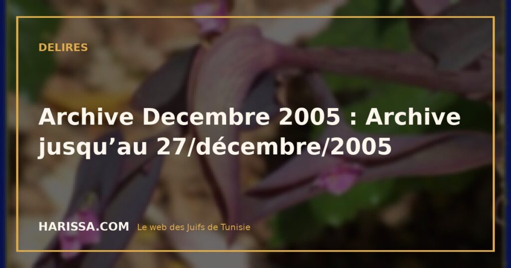 Archive Decembre 2005 : Archive jusqu’au 27/décembre/2005