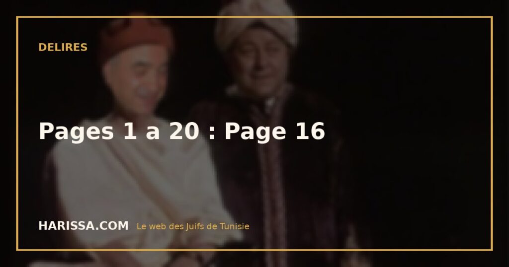 Pages 1 a 20 : Page 16