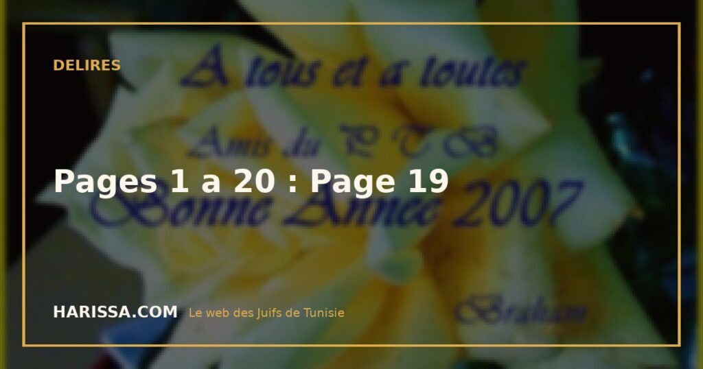 Pages 1 a 20 : Page 19