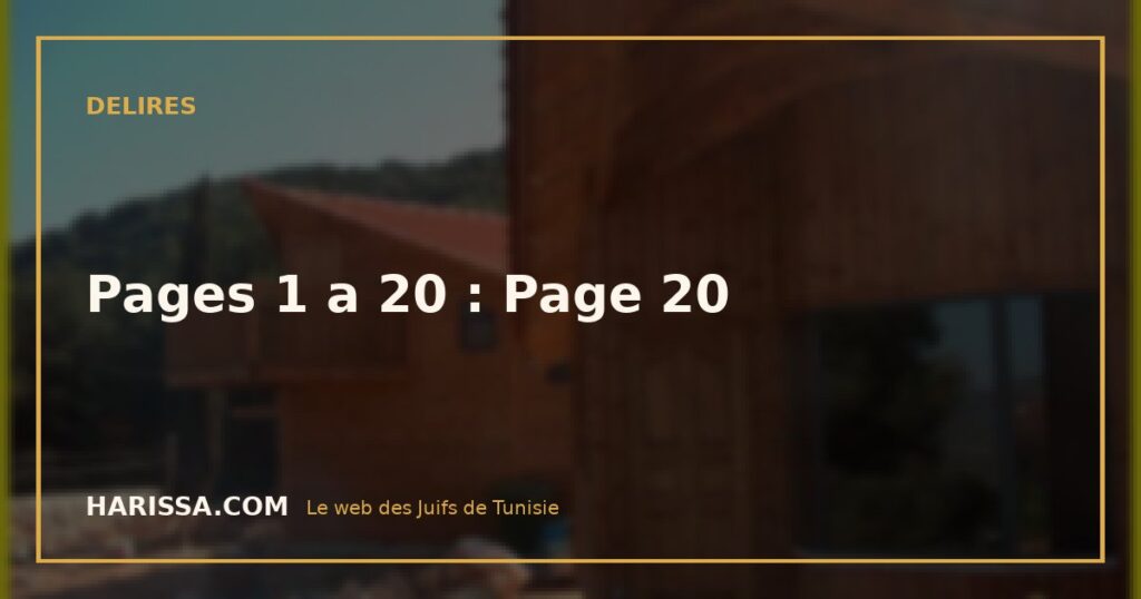 Pages 1 a 20 : Page 20