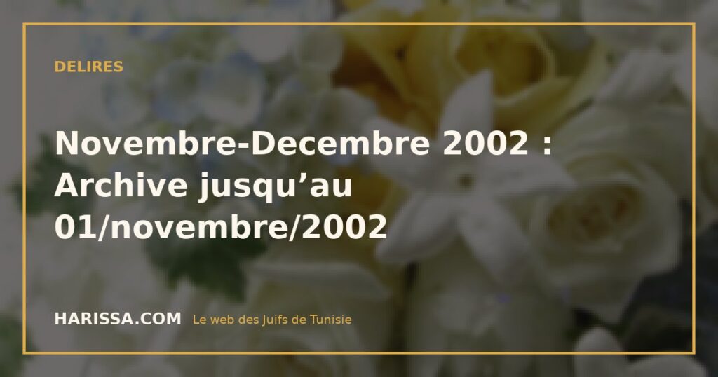Novembre-Decembre 2002 : Archive jusqu’au 01/novembre/2002