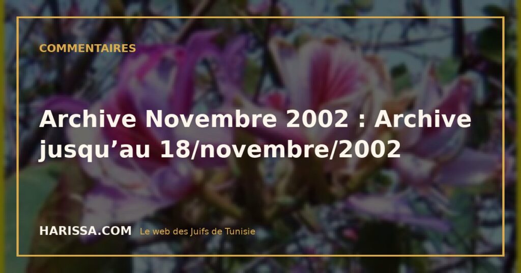 Archive Novembre 2002 : Archive jusqu’au 18/novembre/2002