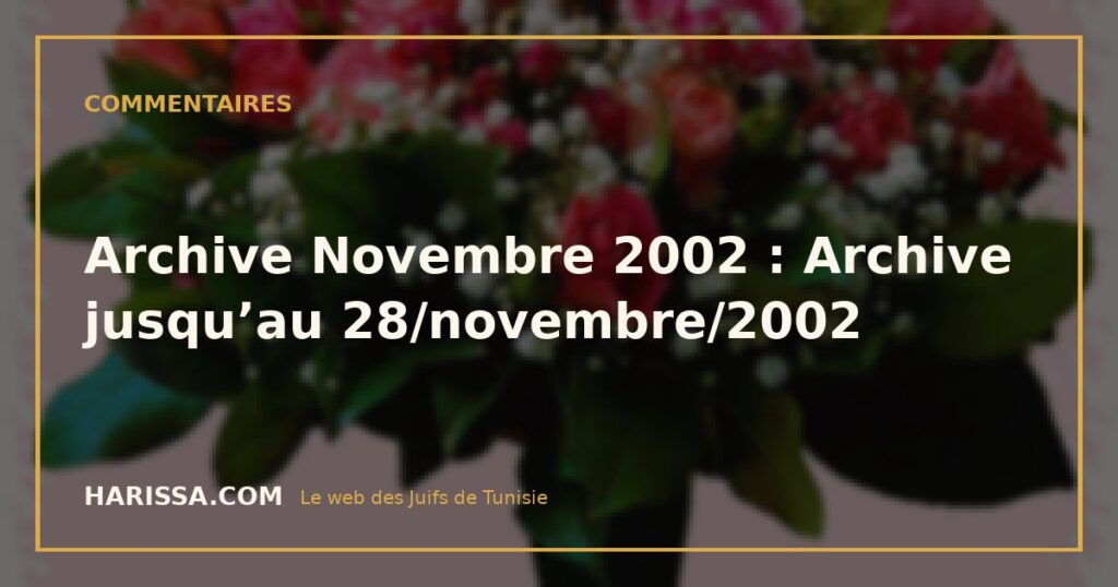 Archive Novembre 2002 : Archive jusqu’au 28/novembre/2002