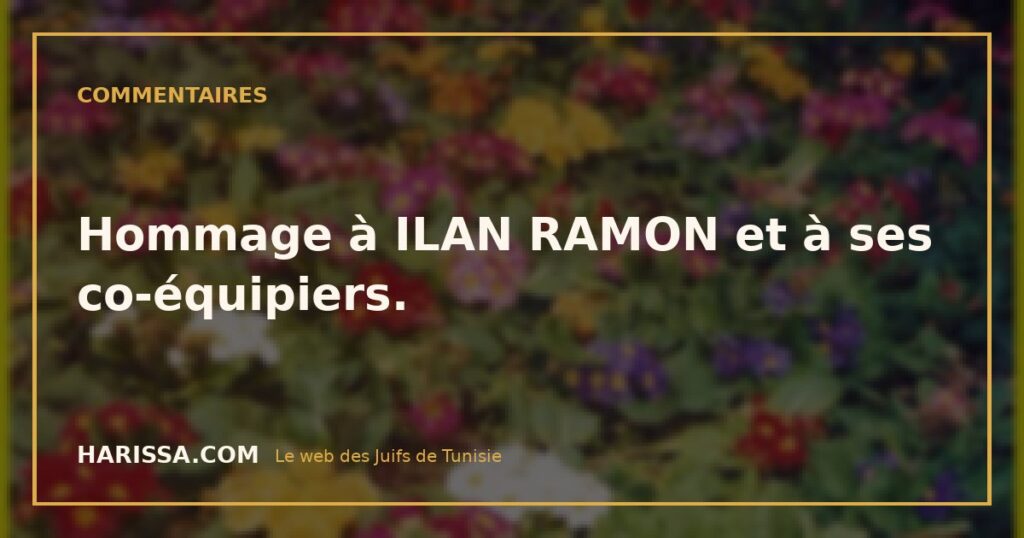 Hommage à ILAN RAMON et à ses co-équipiers.