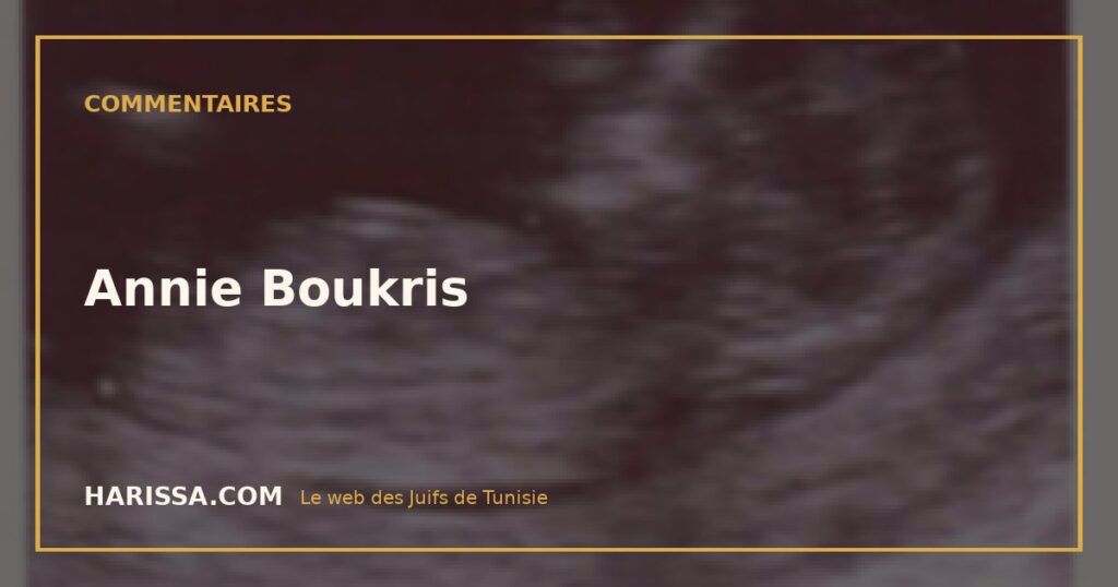 Annie Boukris