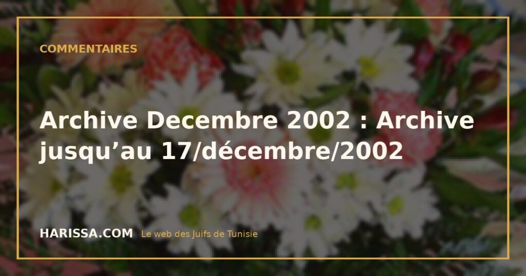 Archive Decembre 2002 : Archive jusqu’au 17/décembre/2002