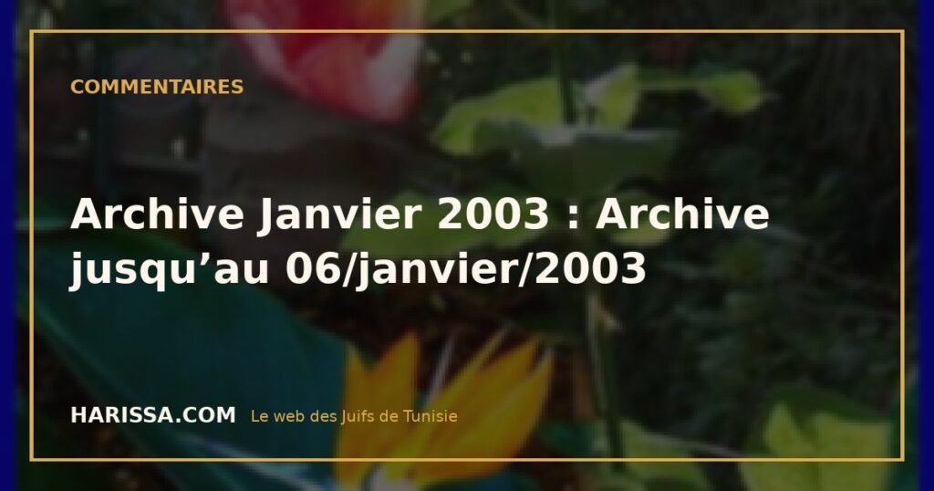 Archive Janvier 2003 : Archive jusqu’au 06/janvier/2003