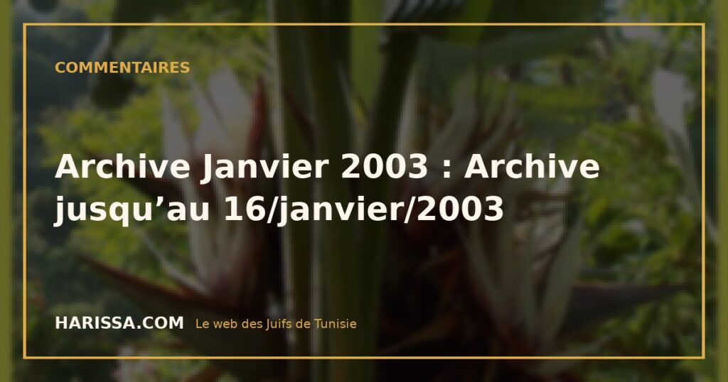 Archive Janvier 2003 : Archive jusqu’au 16/janvier/2003