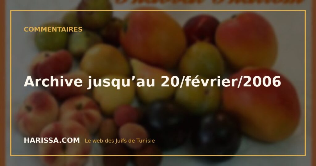 Archive jusqu’au 20/février/2006