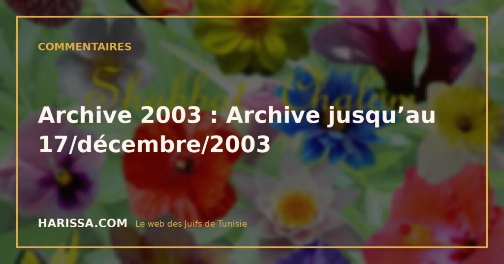Archive 2003 : Archive jusqu’au 17/décembre/2003