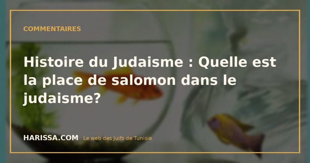 Histoire du Judaisme : Quelle est la place de salomon dans le judaisme?