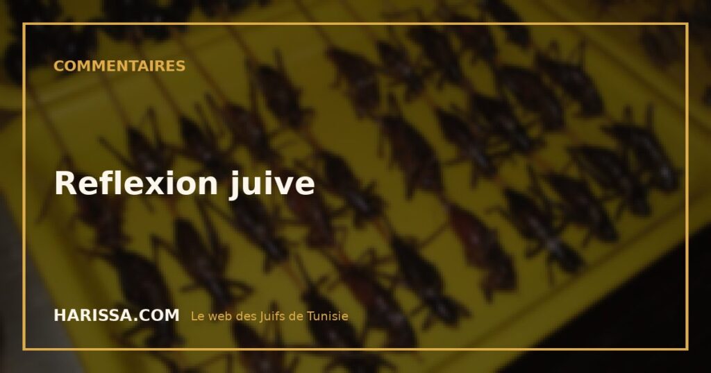 Reflexion juive