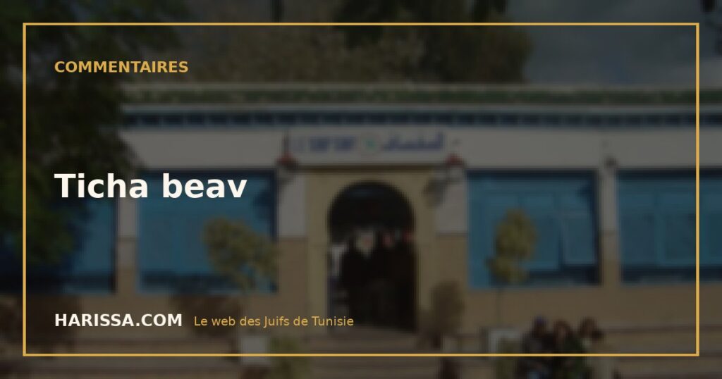 Ticha beav