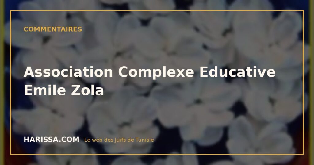 Association Complexe Educative Emile Zola