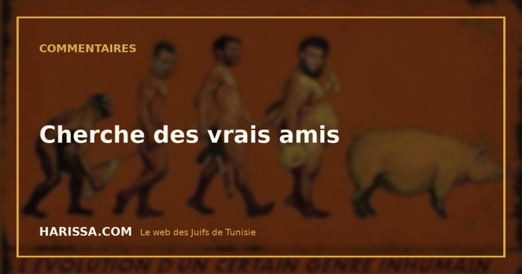 Cherche des vrais amis