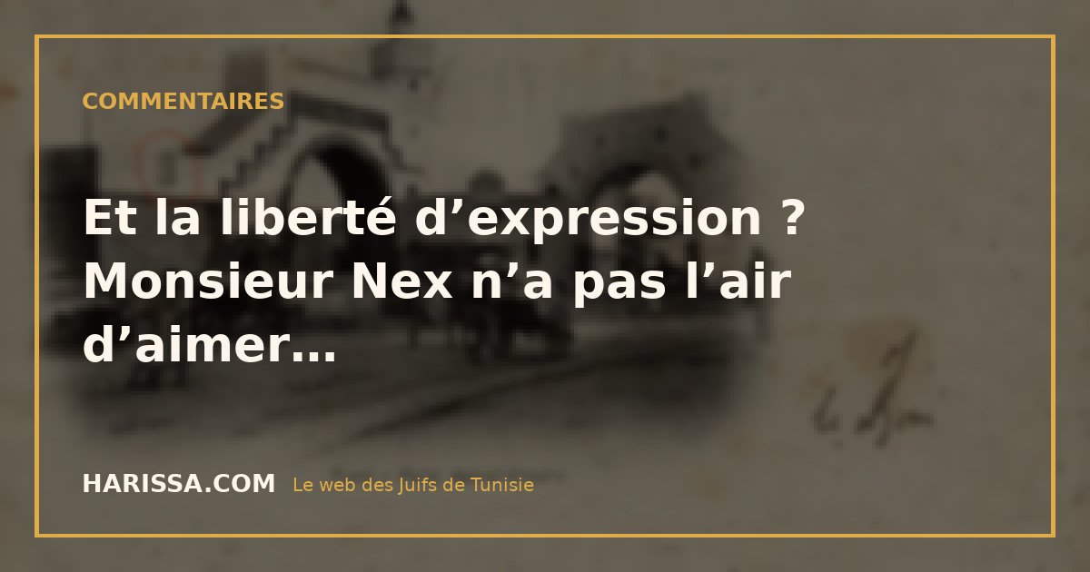 Et la liberté d’expression ? Monsieur Nex n’a pas l’air d’aimer…