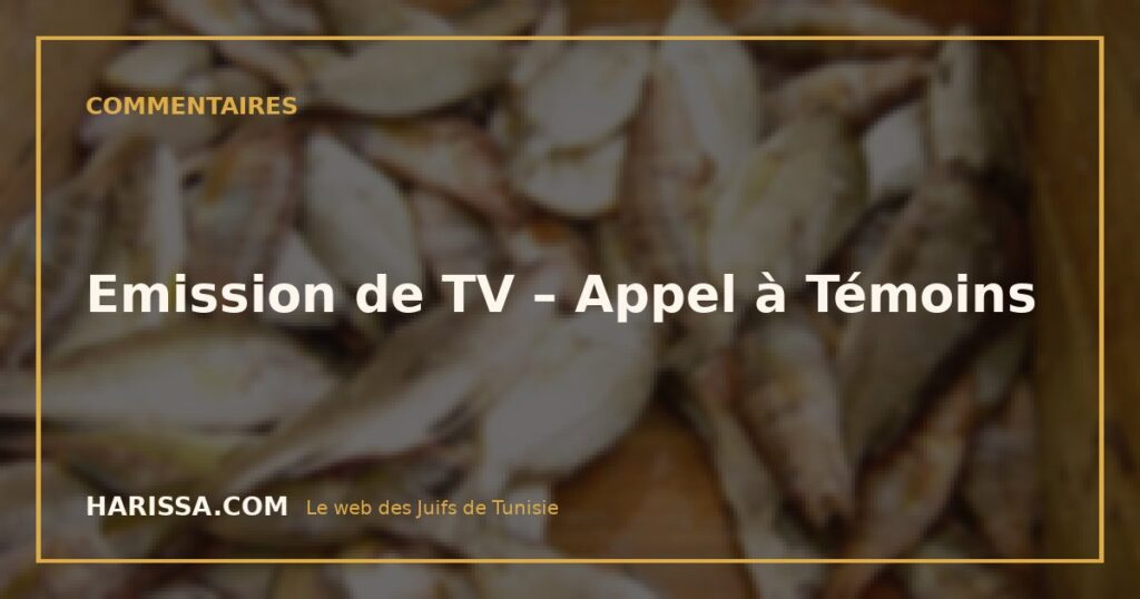 Emission de TV – Appel à Témoins