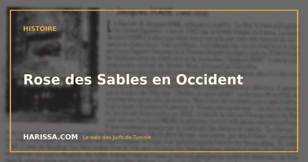 Rose des Sables en Occident