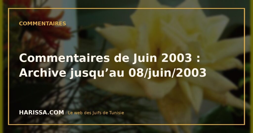 Commentaires de Juin 2003 : Archive jusqu’au 08/juin/2003
