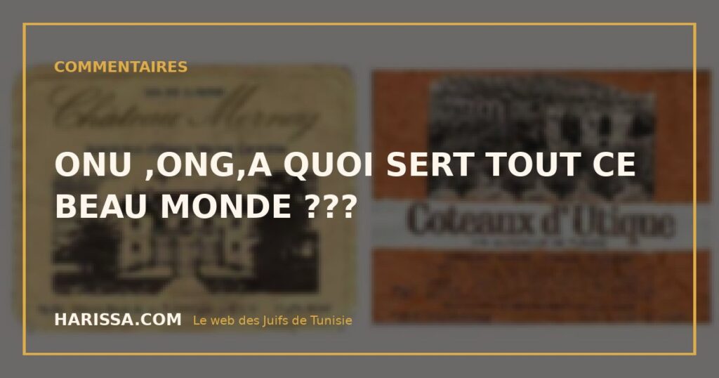 ONU ,ONG,A QUOI SERT TOUT CE BEAU MONDE ???