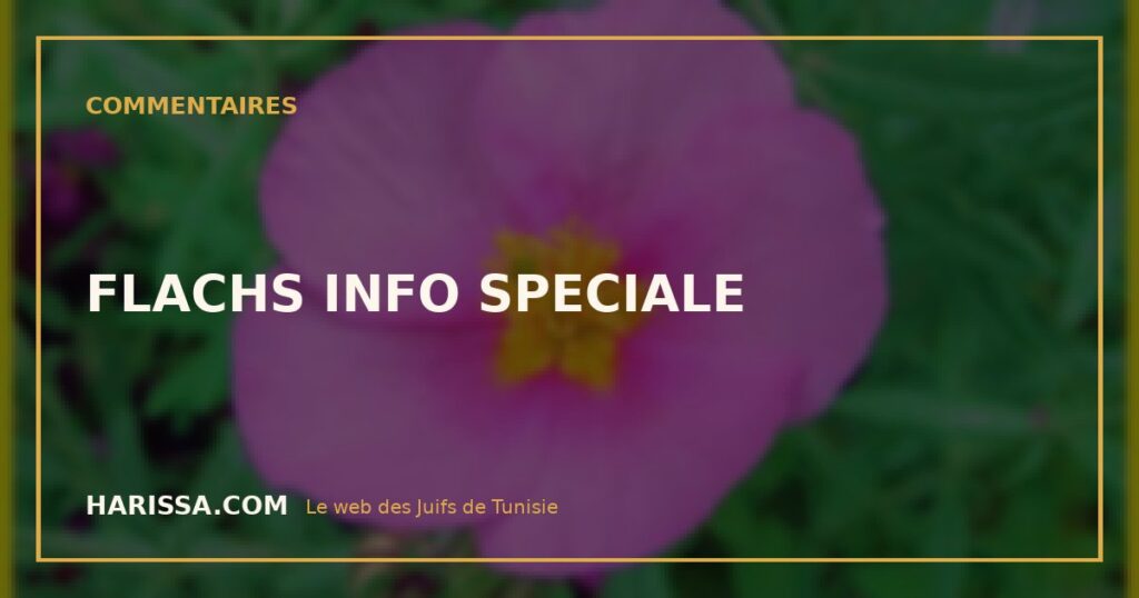 FLACHS INFO SPECIALE