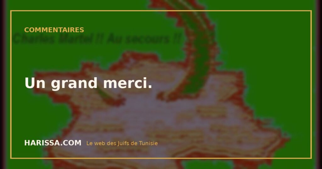 Un grand merci.