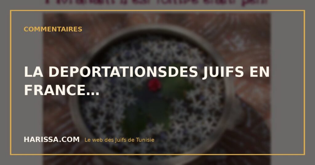 LA DEPORTATIONSDES JUIFS EN FRANCE…