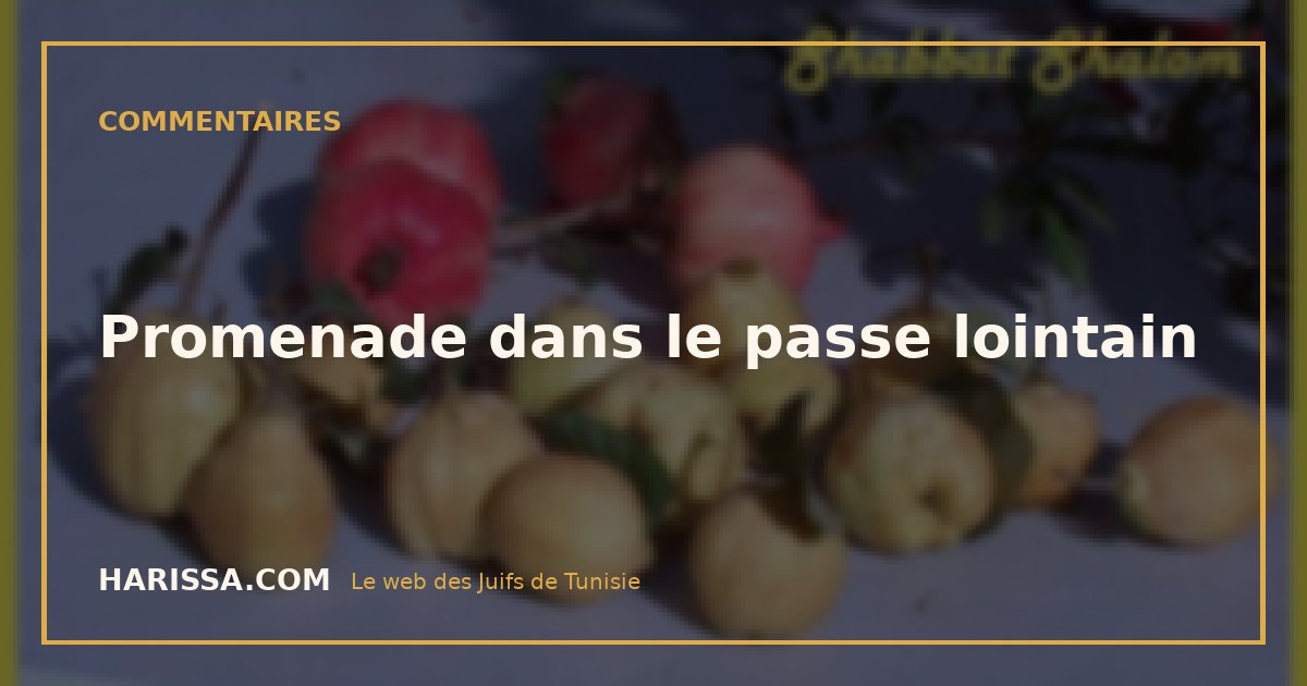 Promenade dans le passe lointain