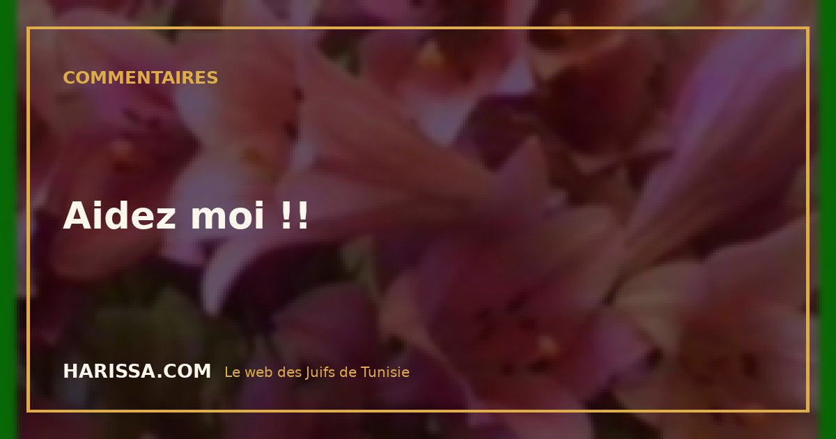 Aidez moi !!