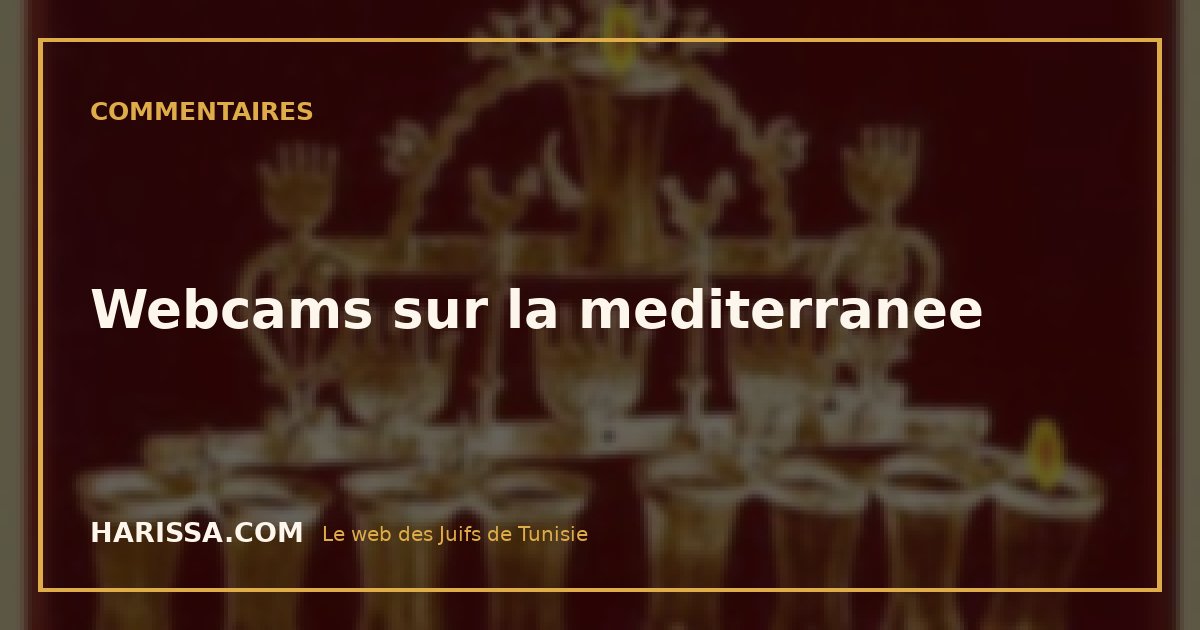 Webcams sur la mediterranee
