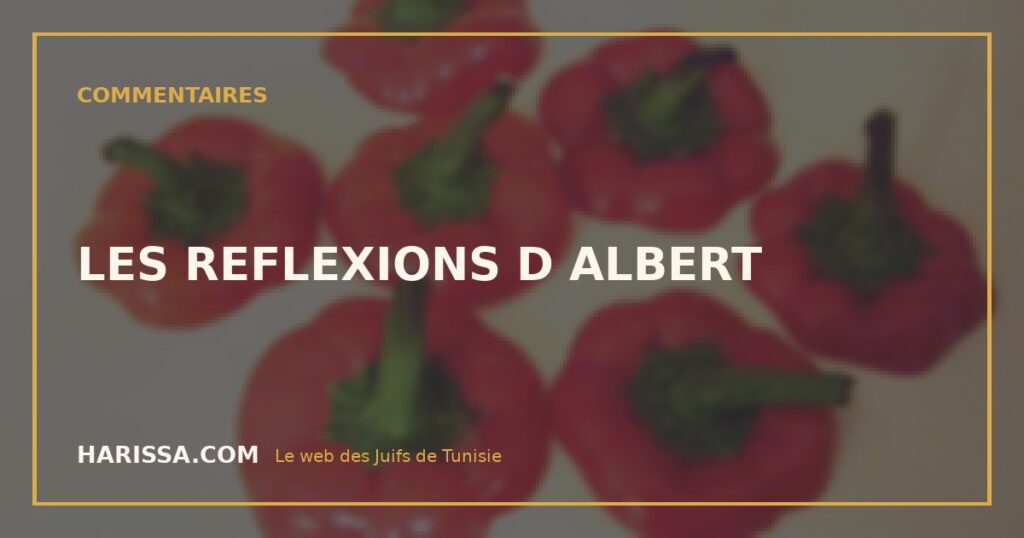 LES REFLEXIONS D ALBERT