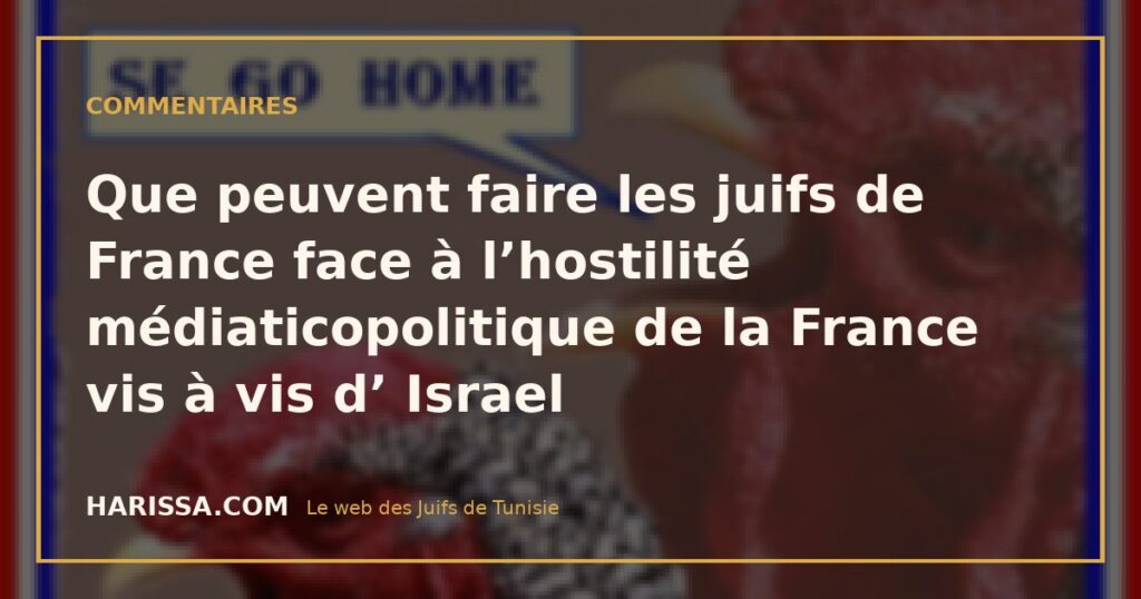 Que peuvent faire les juifs de France face à l’hostilité médiaticopolitique de la France vis à vis d’ Israel