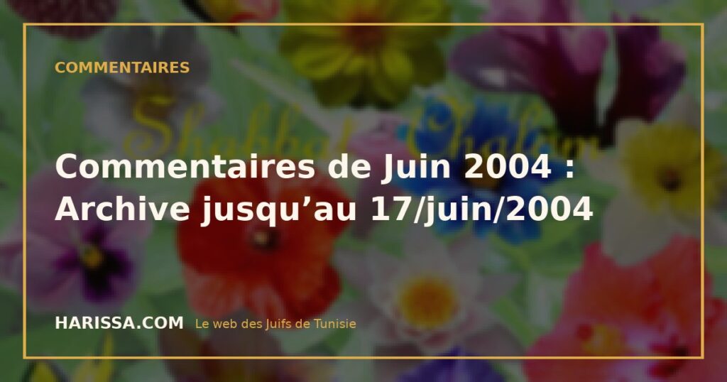 Commentaires de Juin 2004 : Archive jusqu’au 17/juin/2004