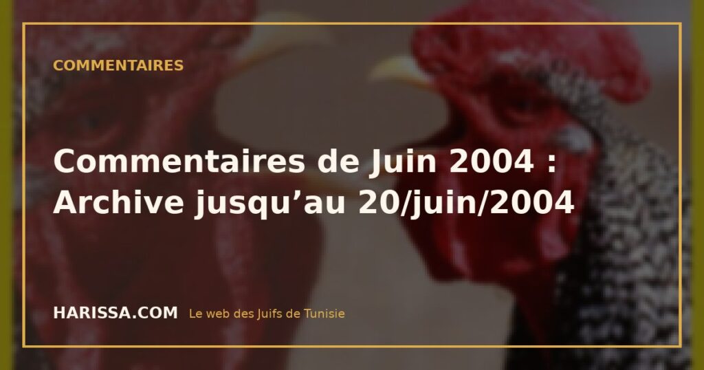 Commentaires de Juin 2004 : Archive jusqu’au 20/juin/2004