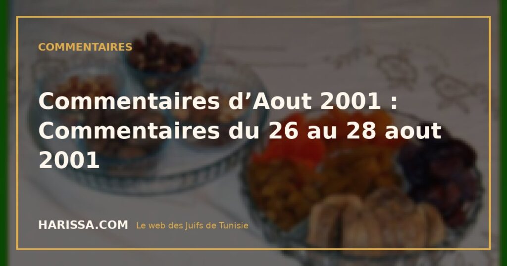 Commentaires d’Aout 2001 : Commentaires du 26 au 28 aout 2001