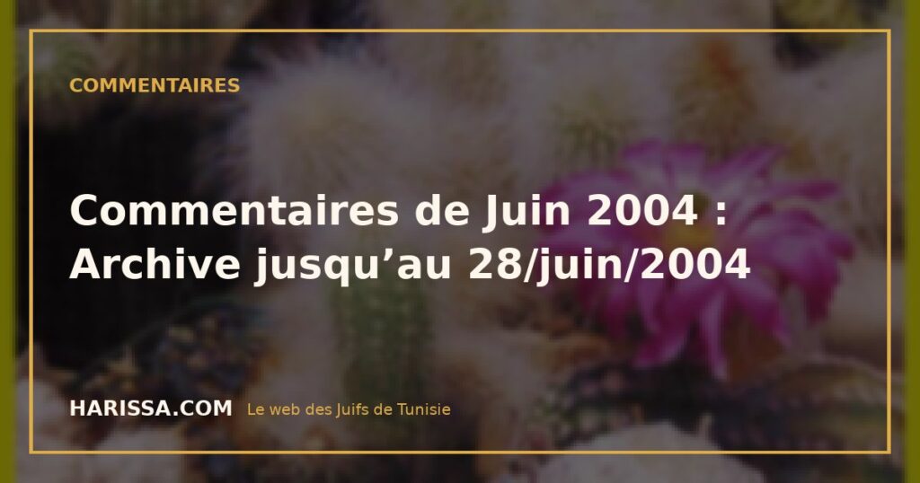 Commentaires de Juin 2004 : Archive jusqu’au 28/juin/2004
