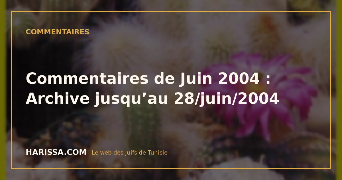 Commentaires de Juin 2004 : Archive jusqu’au 28/juin/2004