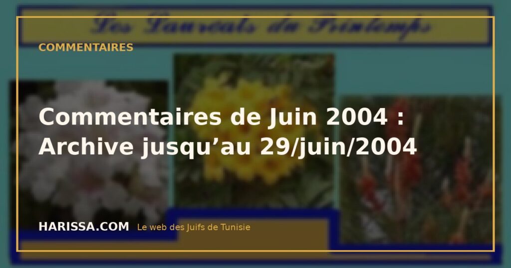 Commentaires de Juin 2004 : Archive jusqu’au 29/juin/2004