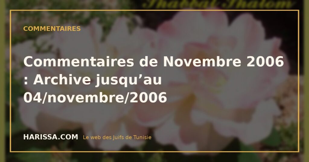 Commentaires de Novembre 2006 : Archive jusqu’au 04/novembre/2006