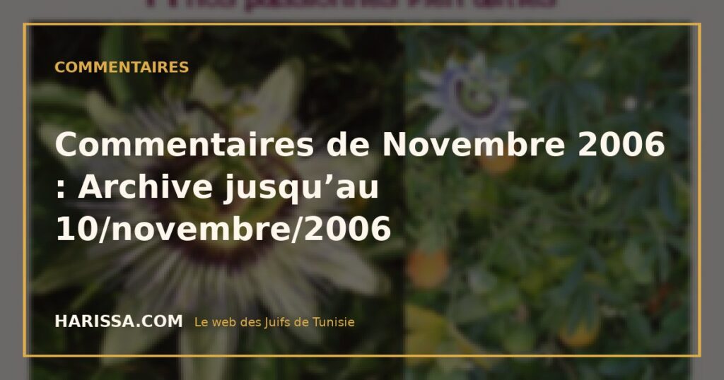 Commentaires de Novembre 2006 : Archive jusqu’au 10/novembre/2006