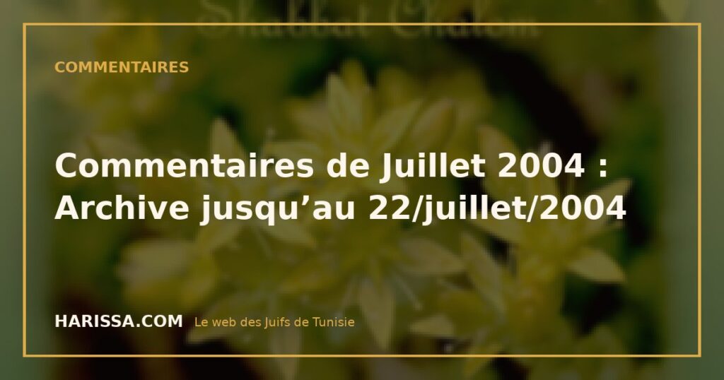 Commentaires de Juillet 2004 : Archive jusqu’au 22/juillet/2004