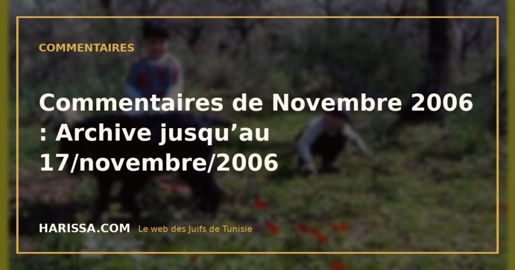 Commentaires de Novembre 2006 : Archive jusqu’au 17/novembre/2006