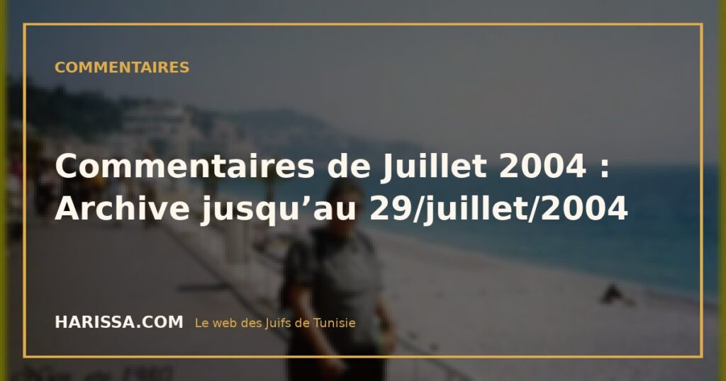 Commentaires de Juillet 2004 : Archive jusqu’au 29/juillet/2004