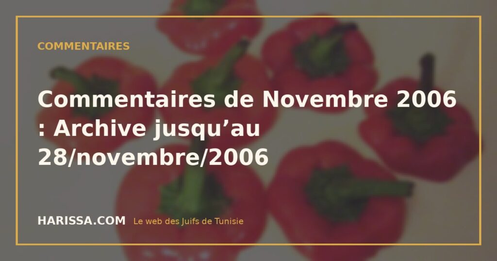 Commentaires de Novembre 2006 : Archive jusqu’au 28/novembre/2006