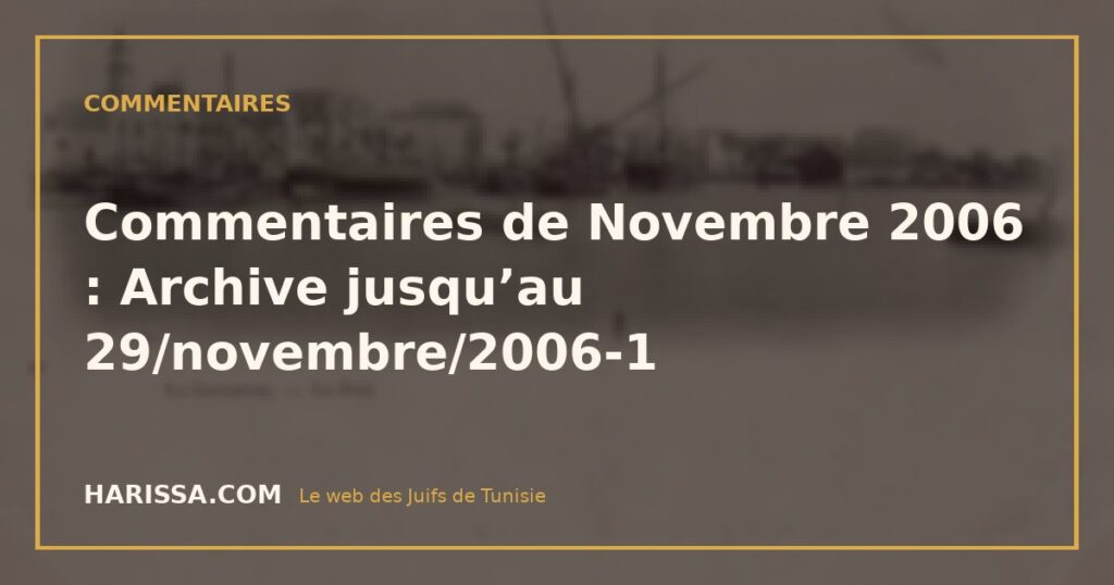 Commentaires de Novembre 2006 : Archive jusqu’au 29/novembre/2006-1