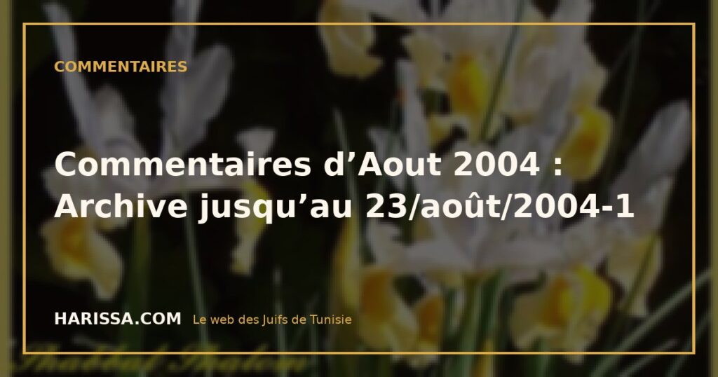 Commentaires d’Aout 2004 : Archive jusqu’au 23/août/2004-1